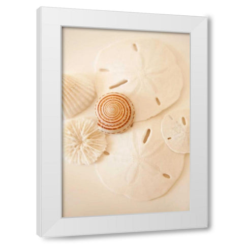 Shells and Dollars White Modern Wood Framed Art Print by Millet, Karyn