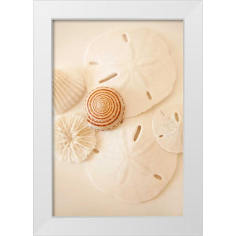Shells and Dollars White Modern Wood Framed Art Print by Millet, Karyn