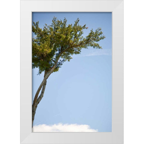 Tall Tree White Modern Wood Framed Art Print by Millet, Karyn