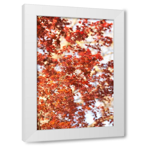 Fall Leaves White Modern Wood Framed Art Print by Millet, Karyn