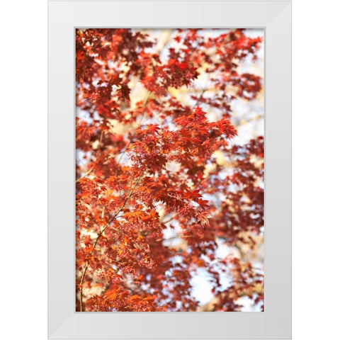 Fall Leaves White Modern Wood Framed Art Print by Millet, Karyn