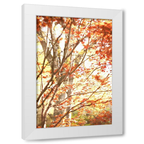 Autumn Leaves White Modern Wood Framed Art Print by Millet, Karyn