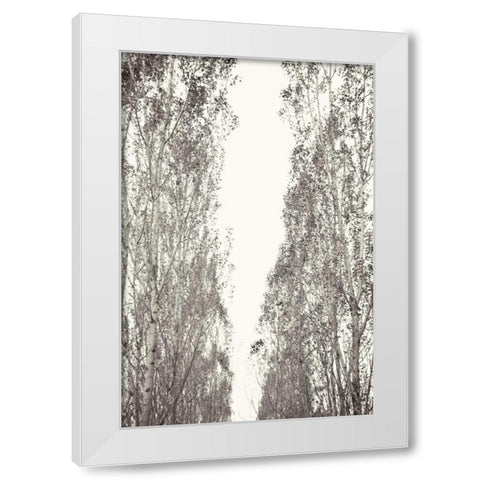 Trees III White Modern Wood Framed Art Print by Millet, Karyn