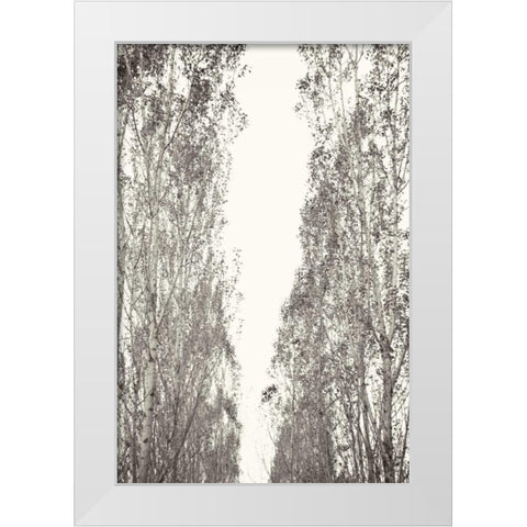 Trees III White Modern Wood Framed Art Print by Millet, Karyn