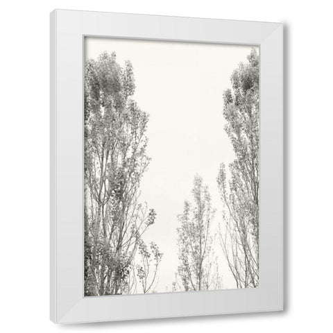 Trees IV White Modern Wood Framed Art Print by Millet, Karyn
