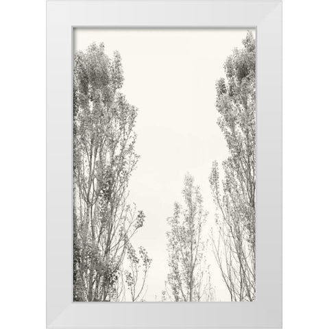 Trees IV White Modern Wood Framed Art Print by Millet, Karyn