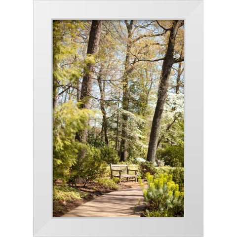 Park Bench White Modern Wood Framed Art Print by Millet, Karyn