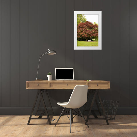 Fall in the Park White Modern Wood Framed Art Print by Millet, Karyn