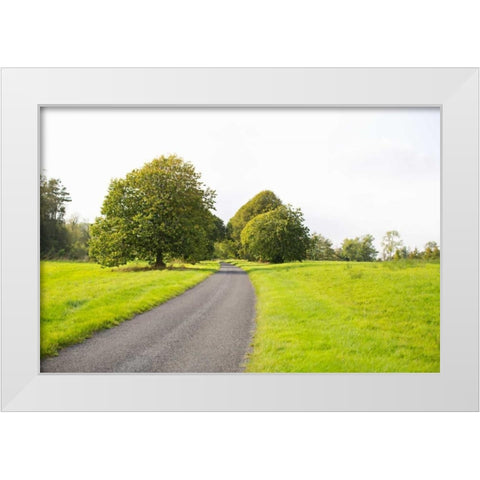 Country Road II White Modern Wood Framed Art Print by Millet, Karyn