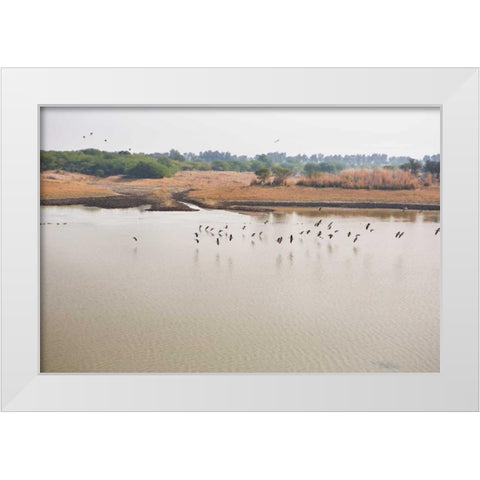 Birds II White Modern Wood Framed Art Print by Millet, Karyn