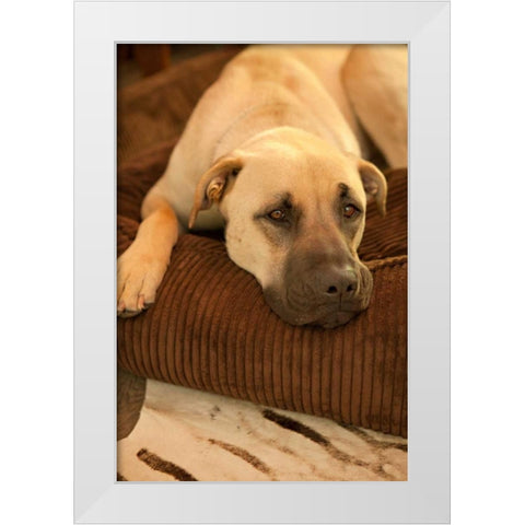 Resting White Modern Wood Framed Art Print by Millet, Karyn