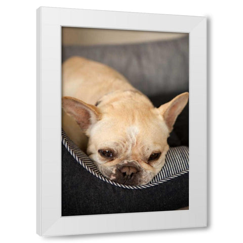 Resting II White Modern Wood Framed Art Print by Millet, Karyn