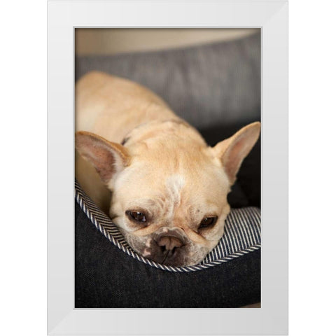 Resting II White Modern Wood Framed Art Print by Millet, Karyn
