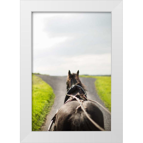 Horse Drawn White Modern Wood Framed Art Print by Millet, Karyn