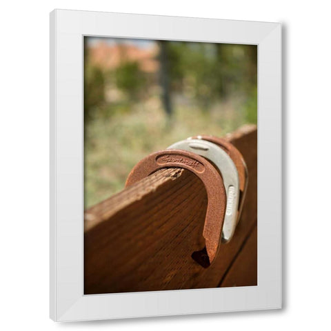 Horse Shoes White Modern Wood Framed Art Print by Millet, Karyn