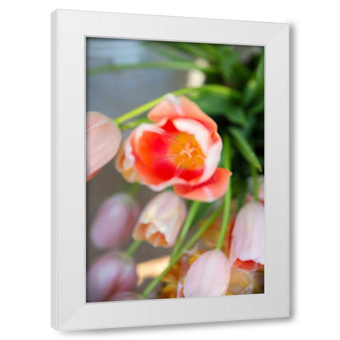 Spring Bloom I White Modern Wood Framed Art Print by Millet, Karyn