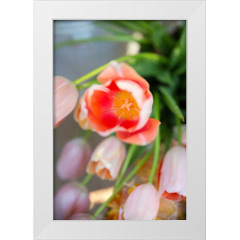 Spring Bloom I White Modern Wood Framed Art Print by Millet, Karyn