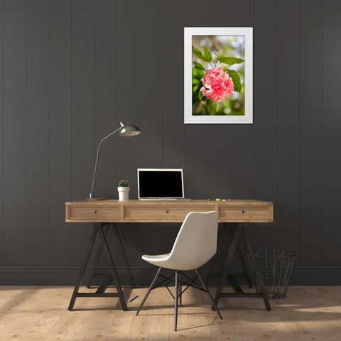 Spring Bloom II White Modern Wood Framed Art Print by Millet, Karyn