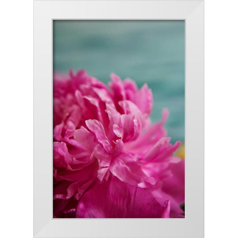 Fuchsia Peonies III White Modern Wood Framed Art Print by Millet, Karyn