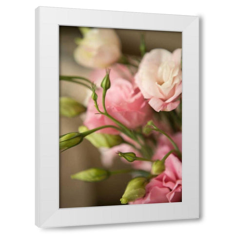 Pink Blossoms II White Modern Wood Framed Art Print by Millet, Karyn