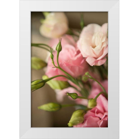 Pink Blossoms II White Modern Wood Framed Art Print by Millet, Karyn