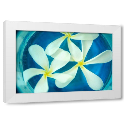 Floating Flowers II White Modern Wood Framed Art Print by Millet, Karyn