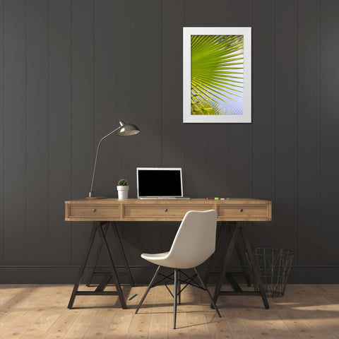 Palm Branch White Modern Wood Framed Art Print by Millet, Karyn