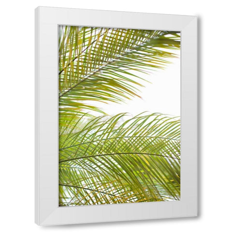 Palms in the Sun I White Modern Wood Framed Art Print by Millet, Karyn