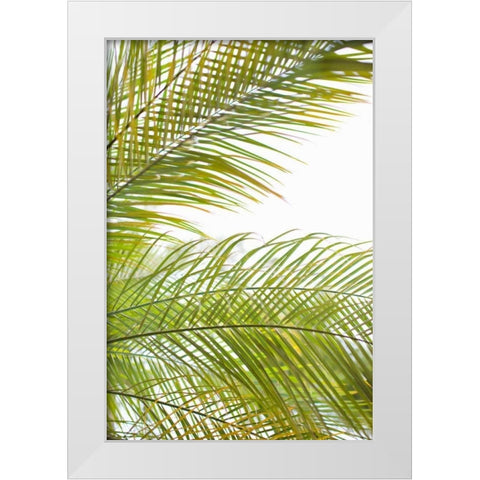 Palms in the Sun I White Modern Wood Framed Art Print by Millet, Karyn