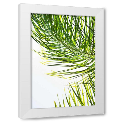 Palms in the Sun II White Modern Wood Framed Art Print by Millet, Karyn