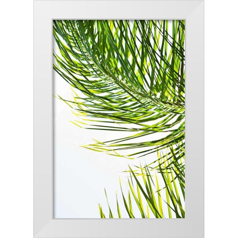 Palms in the Sun II White Modern Wood Framed Art Print by Millet, Karyn