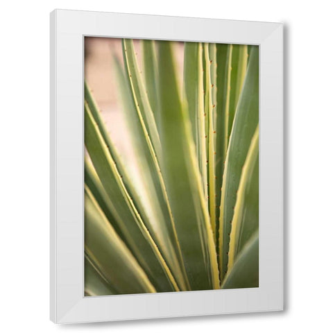 Succulent Garden I White Modern Wood Framed Art Print by Millet, Karyn