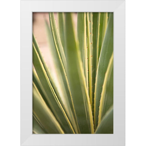 Succulent Garden I White Modern Wood Framed Art Print by Millet, Karyn