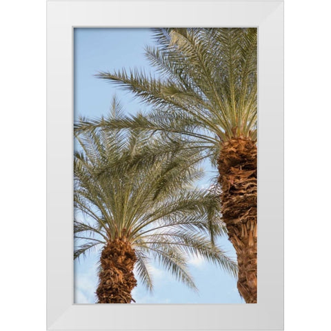 Below the Palms III White Modern Wood Framed Art Print by Millet, Karyn