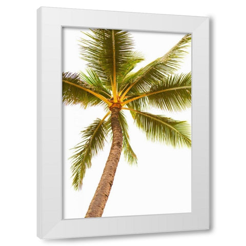 Below the Palms V White Modern Wood Framed Art Print by Millet, Karyn