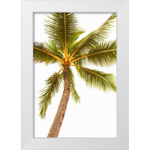 Below the Palms V White Modern Wood Framed Art Print by Millet, Karyn