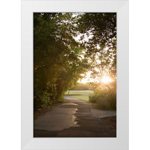 Island Stroll White Modern Wood Framed Art Print by Millet, Karyn
