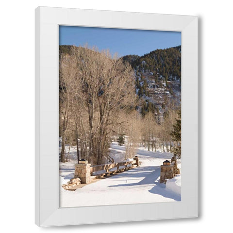 Snowy Path White Modern Wood Framed Art Print by Millet, Karyn