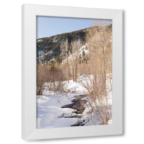 Snow in the Mountains White Modern Wood Framed Art Print by Millet, Karyn