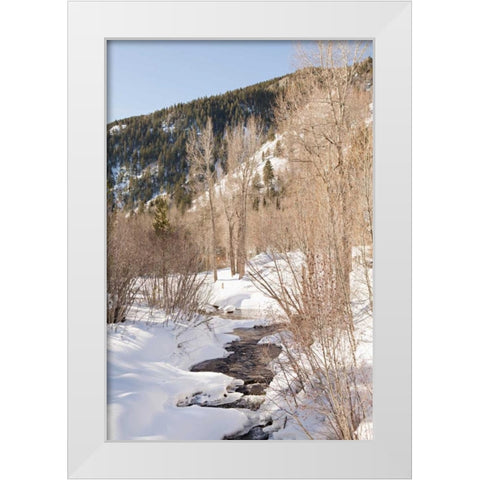 Snow in the Mountains White Modern Wood Framed Art Print by Millet, Karyn