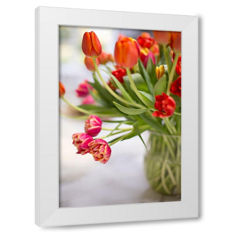 Blooming Tulips White Modern Wood Framed Art Print by Millet, Karyn