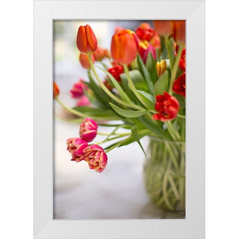 Blooming Tulips White Modern Wood Framed Art Print by Millet, Karyn