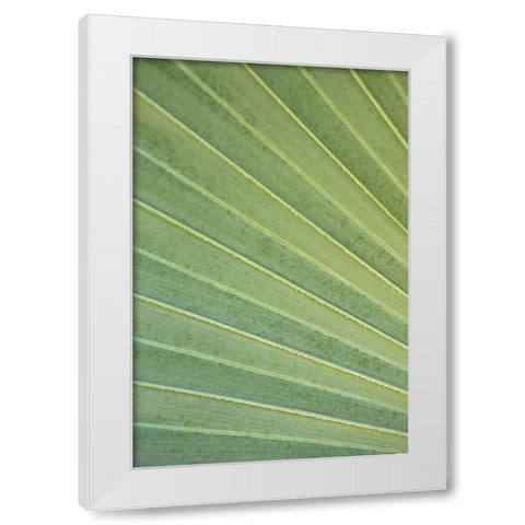 Tropical Leaf Close-Up I White Modern Wood Framed Art Print by Millet, Karyn
