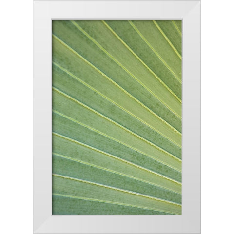 Tropical Leaf Close-Up I White Modern Wood Framed Art Print by Millet, Karyn