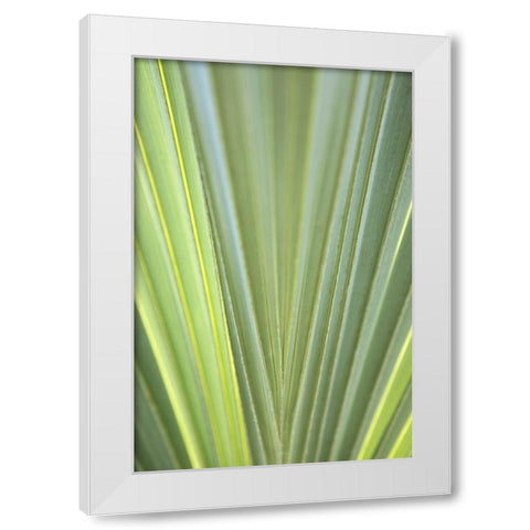 Tropical Leaf Close-Up II White Modern Wood Framed Art Print by Millet, Karyn