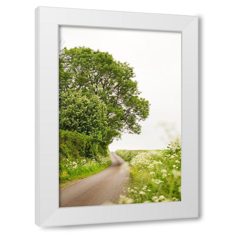 Winding Floral Lined Road White Modern Wood Framed Art Print by Millet, Karyn