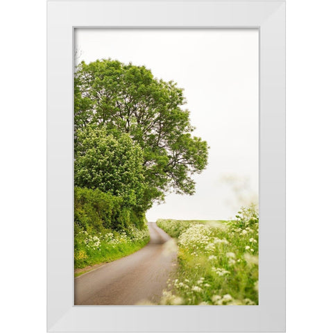 Winding Floral Lined Road White Modern Wood Framed Art Print by Millet, Karyn