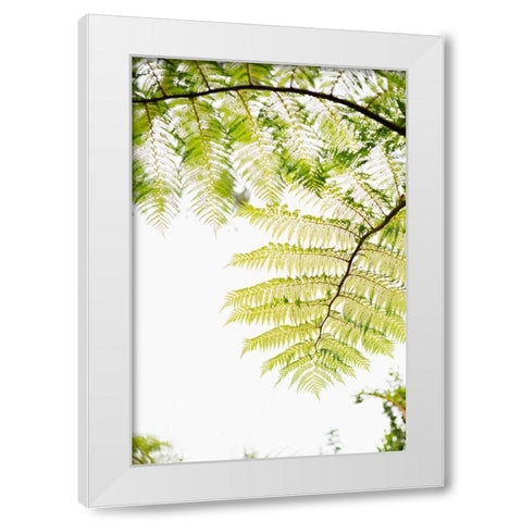 Sunlit Tropical Silhouette I White Modern Wood Framed Art Print by Millet, Karyn