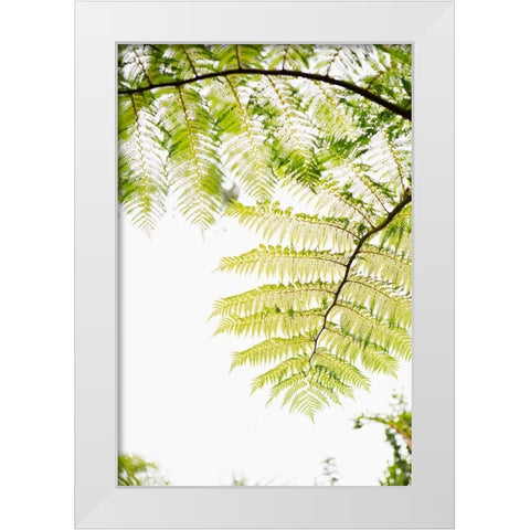 Sunlit Tropical Silhouette I White Modern Wood Framed Art Print by Millet, Karyn