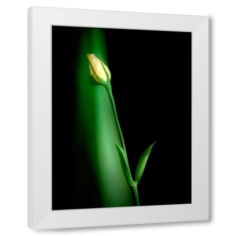 Soul Mates II White Modern Wood Framed Art Print by McNemar, C. Thomas